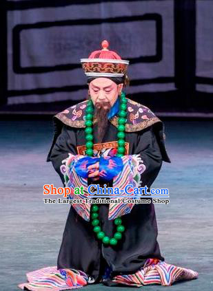 Scholar of Ba Shan Chinese Sichuan Opera Minister Apparels Costumes and Headpieces Peking Opera Official Garment Elderly Male Clothing