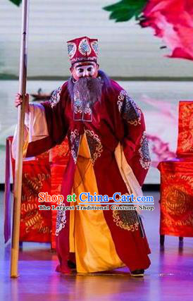 He Zhu Pei Chinese Sichuan Opera Landlord Jin Sanguan Apparels Costumes and Headpieces Peking Opera Elderly Male Garment Ministry Councillor Clothing