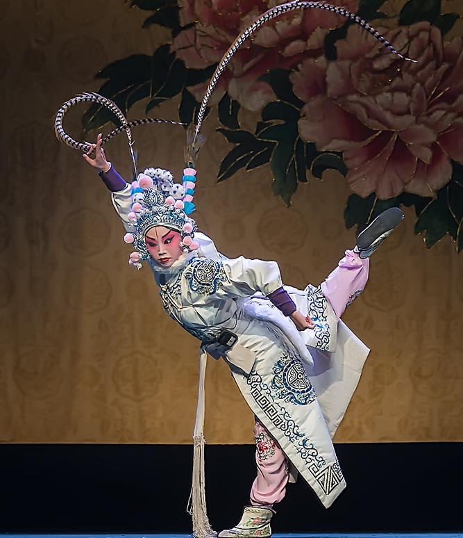 Chinese Sichuan Opera Martial Female Yang Bajie Garment Costumes and Hair Accessories Traditional Peking Opera Wudan Dress Swordswoman Apparels