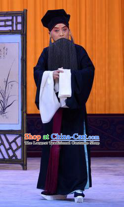 Sister Thirteen Chinese Peking Opera Laosheng An Xuehai Garment Costumes and Headwear Beijing Opera Apparels Elderly Male Clothing