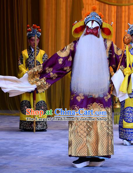 Da Bao Guo Er Jin Gong Chinese Peking Opera Laosheng Garment Costumes and Headwear Beijing Opera Elderly Male Yang Bo Apparels Clothing