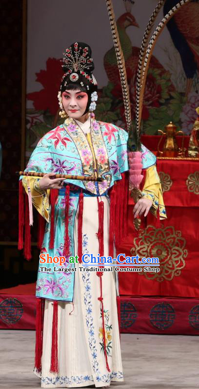 Chinese Beijing Opera Swordsplay Woman Xi Shi Apparels Costumes and Headdress Traditional Peking Opera Martial Female Dress Garment
