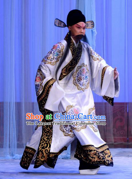 Chu Palace Hen Chinese Peking Opera Old Male Garment Costumes and Headwear Beijing Opera Laosheng Wu She Apparels Official Clothing