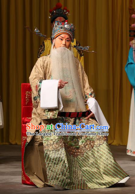 A Honey Trap Chinese Peking Opera Old Man Garment Costumes and Headwear Beijing Opera Elderly Male Apparels Official Clothing