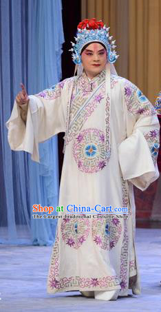 Number One Scholar Matchmaker Chinese Peking Opera Takefu Garment Costumes and Headwear Beijing Opera Wusheng Apparels Martial Male Yang Yanzhao Clothing