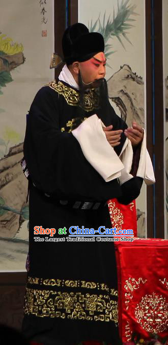 Qun Jie Hua Chinese Peking Opera Official Garment Costumes and Headwear Beijing Opera Laosheng Apparels Elderly Male Lu Su Clothing