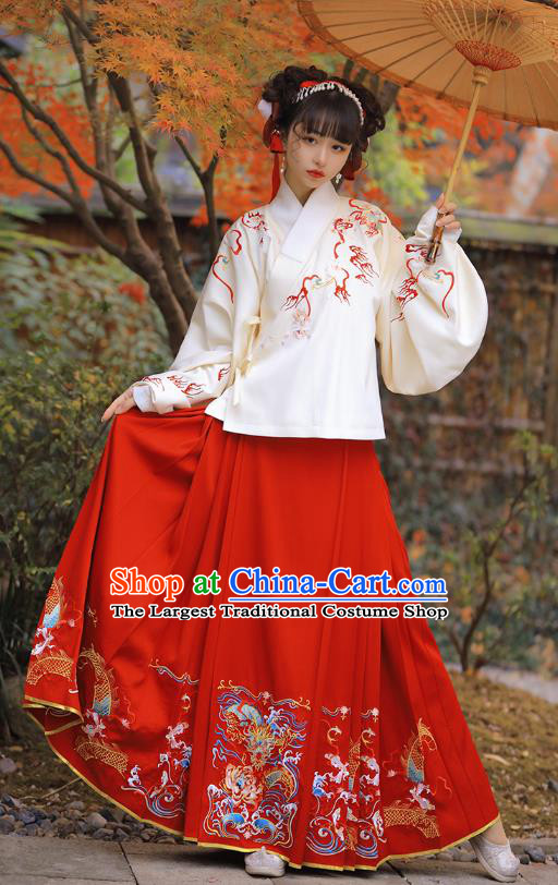Chinese Ancient Nobility Lady Historical Costumes Ming Dynasty Garment Traditional Embroidered Hanfu Dress