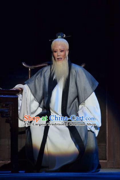 Fu Shan Jin Jing Chinese Shanxi Opera Laosheng Scholar Apparels Costumes and Headpieces Traditional Jin Opera Elderly Male Garment Clothing