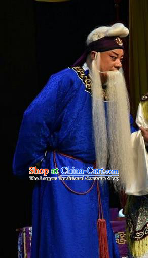 Sacrifice Chinese Shanxi Opera Laosheng Cheng Ying Apparels Costumes and Headpieces Traditional Jin Opera Elderly Male Garment Old Scholar Clothing