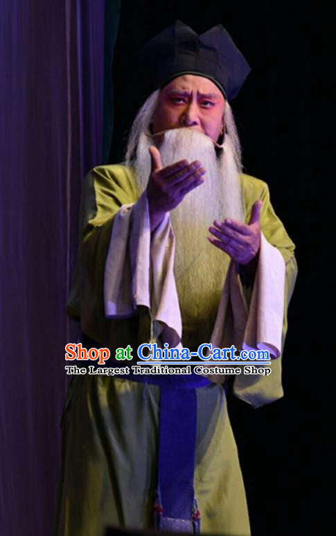 Cha Ping Ji Chinese Shanxi Opera Laosheng Apparels Costumes and Headpieces Traditional Jin Opera Elderly Male Garment Old Servant Clothing