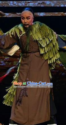He Qing Hai Yan Chinese Shanxi Opera Qing Dynasty Official Apparels Costumes and Headpieces Traditional Jin Opera Elderly Male Li Yumei Garment Clothing
