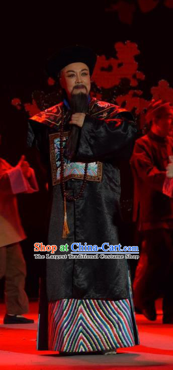 Da Hu Ji Chinese Shanxi Opera Qing Dynasty Apparels Costumes and Headpieces Traditional Jin Opera Censor Liang Zhongjing Garment Official Clothing