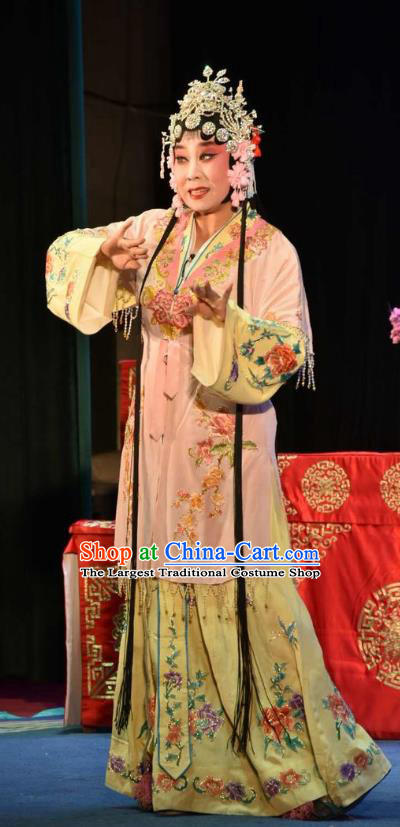 Chinese Clapper Opera Rich Lady Garment Costumes and Headdress The Crimson Palm Traditional Bangzi Opera Hua Tan Apparels Actress Wang Qianjin Dress