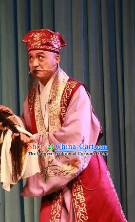 Forced Marriage Chinese Lu Opera Elderly Man Apparels Costumes and Headpieces Traditional Shandong Opera Clown Garment Adviser Clothing