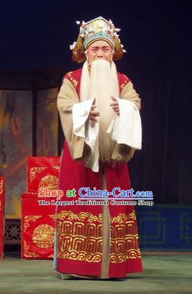 Jiu Ling Jiu Zhu Chinese Qu Opera Laosheng Apparels Costumes and Headpieces Traditional Henan Opera Elderly Male Garment Prime Minister Zhang Jiuling Clothing