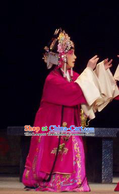 Chinese Henan Opera Young Lady Garment Costumes and Headdress The Romance of Hairpin Traditional Qu Opera Hua Tan Apparels Actress Qian Yulian Rosy Dress