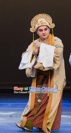 Jin Lian Chinese Hubei Hanchu Opera Young Male Apparels Costumes and Headpieces Traditional Han Opera Childe Garment Merchant Ximen Qing Clothing
