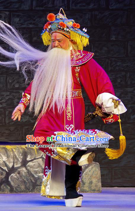 Chinese Guangdong Opera Infante Apparels Costumes and Headpieces Traditional Cantonese Opera Elderly Male Garment Lord Wu Zixu Clothing