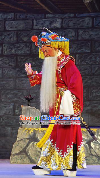 Chinese Guangdong Opera Infante Apparels Costumes and Headpieces Traditional Cantonese Opera Elderly Male Garment Lord Wu Zixu Clothing