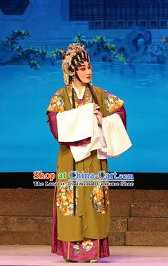 Chinese Cantonese Opera Middle Age Woman Garment Legend of Lun Wenxu Costumes and Headdress Traditional Guangdong Opera Dame Apparels Landlord Shiva Dress