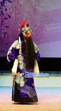 Hua Jian Ji Chinese Guangdong Opera General Apparels Costumes and Headpieces Traditional Cantonese Opera Jing Garment Elderly Male Clothing