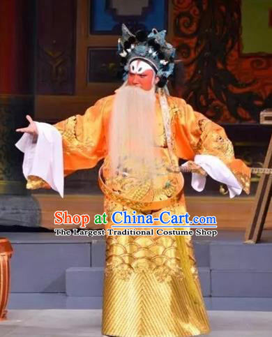 Story of the Violet Hairpin Chinese Guangdong Opera Official Apparels Costumes and Headpieces Traditional Cantonese Opera Jing Garment Elderly Male Clothing