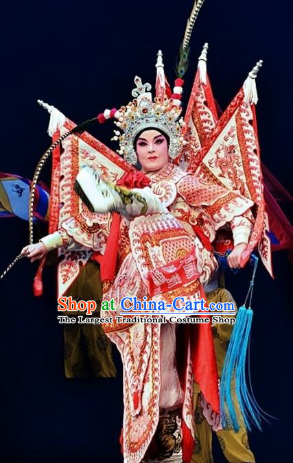 Yuan Yang Sword Chinese Guangdong Opera General Apparels Costumes and Headpieces Traditional Cantonese Opera Martial Male Garment Warrior Qiu Jianghai Kao Clothing with Flags