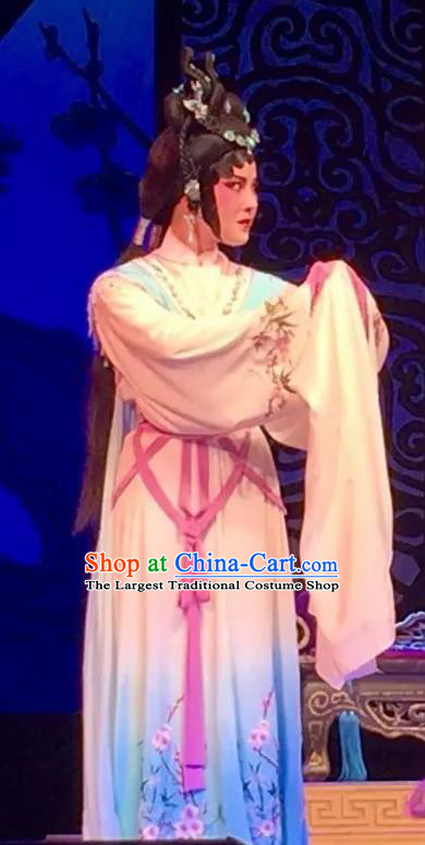 Chinese Cantonese Opera Young Female Garment Yuan Yang Sword Costumes and Headdress Traditional Guangdong Opera Diva Qin Huilan Apparels Actress Dress
