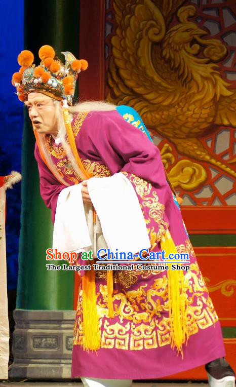 Dian Man Gong Zhu Gan Fu Ma Chinese Guangdong Opera Eunuch Apparels Costumes and Headpieces Traditional Cantonese Opera Elderly Male Garment Clown Purple Clothing