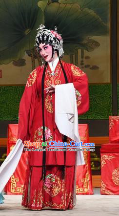 Chinese Cantonese Opera Rich Lady Garment Costumes and Headdress Traditional Guangdong Opera Hua Tan Apparels Actress Jia Yunv Red Dress