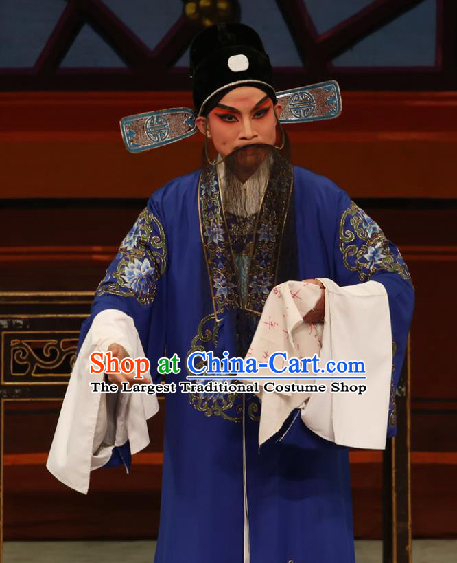 The Lotus Lantern Chinese Guangdong Opera Liu Yanchang Apparels Costumes and Headpieces Traditional Cantonese Opera Landlord Garment Elderly Male Clothing