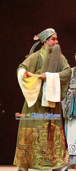 Gao Emperor of Han Chinese Guangdong Opera Elderly Male Apparels Costumes and Headpieces Traditional Cantonese Opera Laosheng Garment Clothing