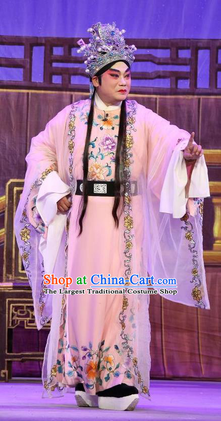 Chinese Guangdong Opera Young Male Apparels Costumes and Headpieces Traditional Cantonese Opera Xiaosheng Garment Crown Prince Wei Jianhun Clothing