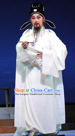Dongpo And Zhaoyun Chinese Guangdong Opera Elderly Male Su Shi Apparels Costumes and Headwear Traditional Cantonese Opera Laosheng Garment Poet Clothing