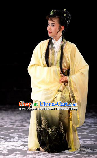 Chinese Historical Drama Phoenix Hairpin Ancient Young Mistress Garment Costumes Traditional Actress Dress Noble Woman Tang Wan Apparels and Headdress