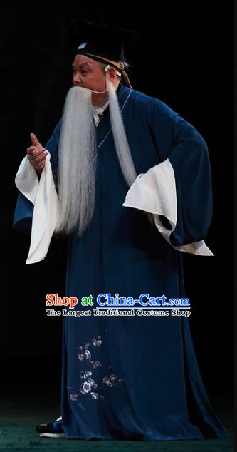 Cao Min Song Shijie Chinese Sichuan Opera Old Scholar Apparels Costumes and Headpieces Peking Opera Highlights Scribe Garment Civilian Clothing