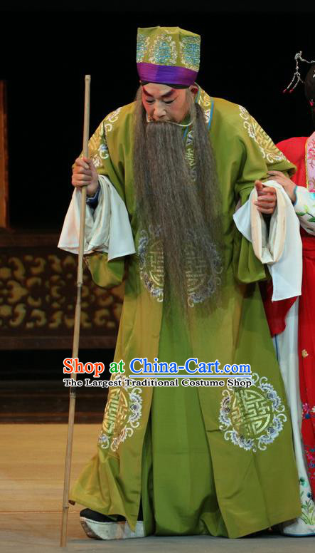En Chou Ji Chinese Sichuan Opera Landlord Apparels Costumes and Headpieces Peking Opera Highlights Elderly Male Garment Laosheng Clothing