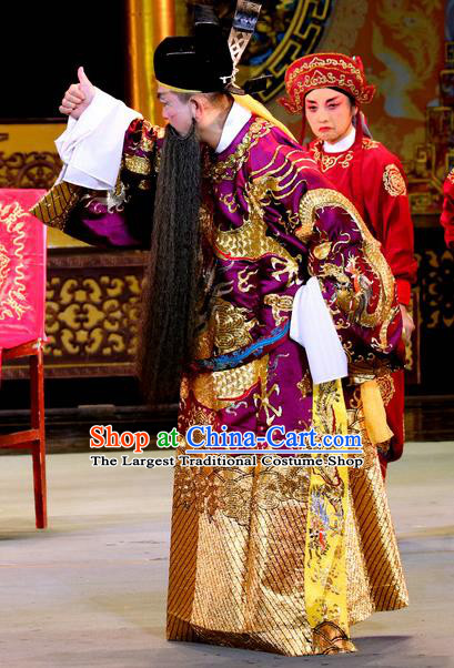 Bai Shou Tu Chinese Sichuan Opera Laosheng Apparels Costumes and Headpieces Peking Opera Highlights Elderly Male Garment Official Zhang Tianzuo Clothing