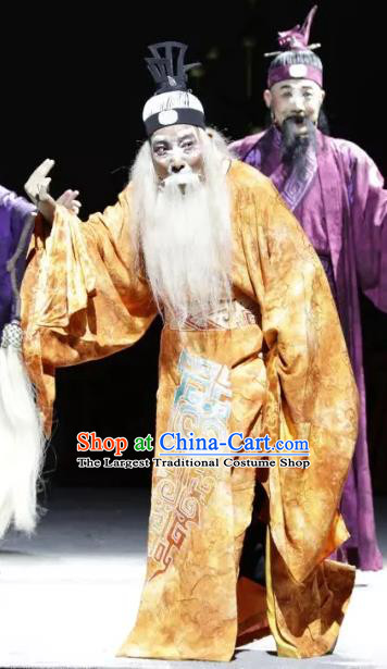 Luo Xiahong Chinese Sichuan Opera Elderly Male Apparels Costumes and Headpieces Peking Opera Highlights Lord Garment Laosheng Clothing