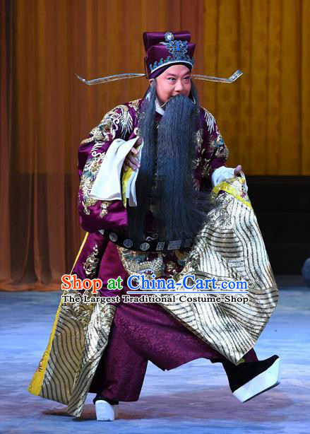 Xue Gang Fan Tang Chinese Bangzi Opera Laosheng Apparels Costumes and Headpieces Traditional Hebei Clapper Opera Official Garment Elderly Male Xu Ce Clothing
