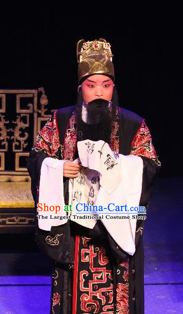 Tai Cheng Liu Chinese Bangzi Opera Elderly Male Apparels Costumes and Headpieces Traditional Hebei Clapper Opera Lord Garment King Xiao Yan Clothing