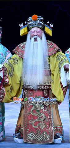 Xue Gang Fan Tang Chinese Bangzi Opera Lord Apparels Costumes and Headpieces Traditional Hebei Clapper Opera Elderly Male Garment Monarch Clothing