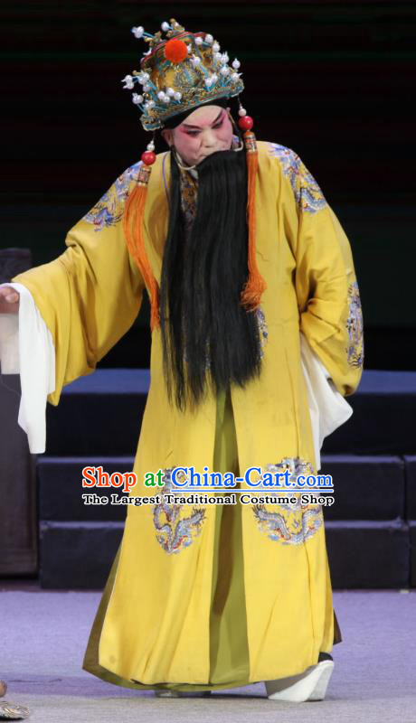 Chinese Bangzi Opera Elderly Male Apparels Costumes and Headpieces Traditional Shanxi Clapper Opera Laosheng Garment Emperor Zhu Yuanzhang Clothing