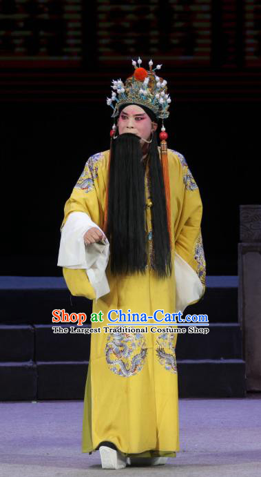 Chinese Bangzi Opera Elderly Male Apparels Costumes and Headpieces Traditional Shanxi Clapper Opera Laosheng Garment Emperor Zhu Yuanzhang Clothing
