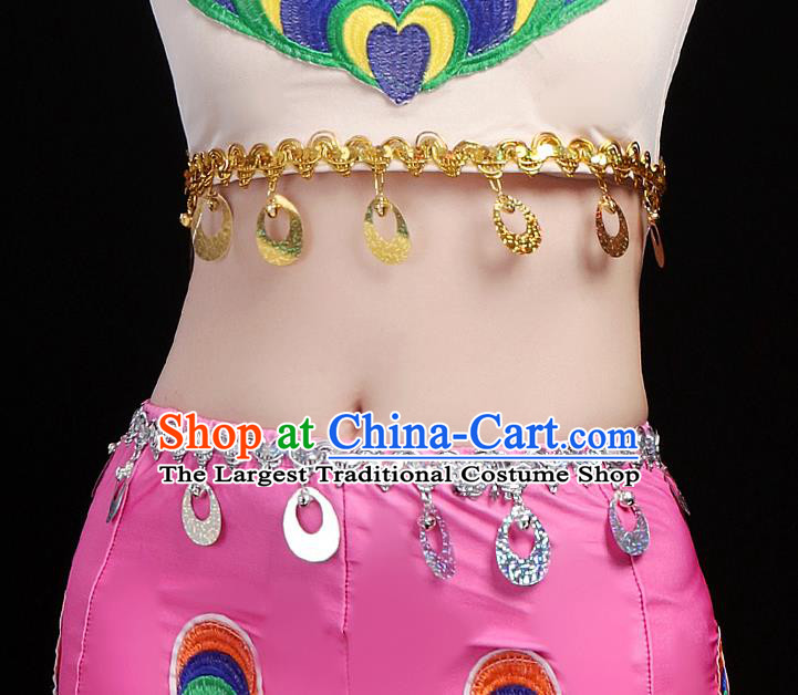 Chinese Traditional Dai Ethnic Dance Costumes Folk Dance Apparels Minority Peacock Dance Blouse and Skirt for Women