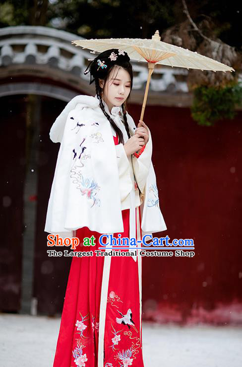 Chinese Ming Dynasty Princess Costumes Traditional Hanfu Garment Ancient Embroidered Crane White Short Cloak for Women