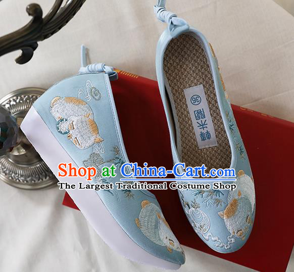Chinese Ancient Princess Shoes Embroidered Blue Shoes Traditional Ming Dynasty Shoes