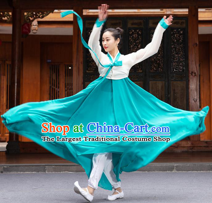 Handmade Chinese Classical Dance Clothing Traditional Korean Nationality Dance Green Dress
