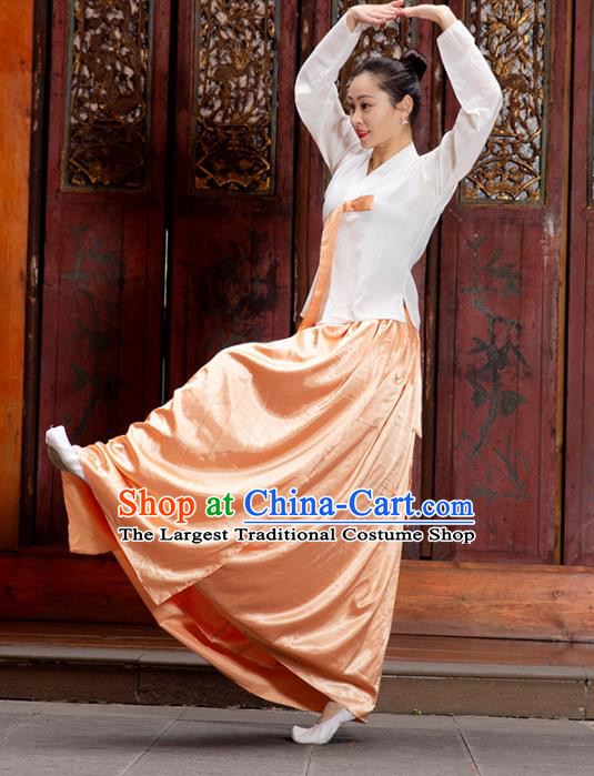 Handmade Chinese Classical Dance Clothing Traditional Korean Nationality Dance White Blouse and Orange Dress