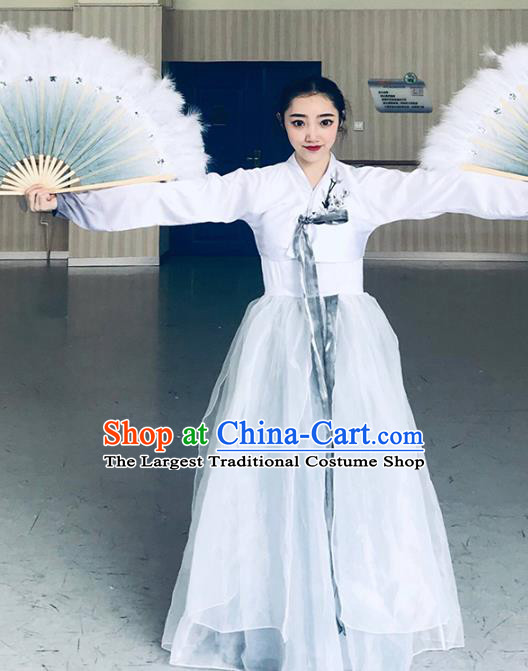 Chinese Classical Dance Clothing Traditional Korean Nationality Dance White Blouse and Dress Complete Set